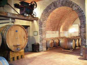 Distinguere enologia e folclore fattoria-del-colle