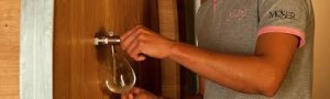 accoglienza e esperienza turistica in cantina