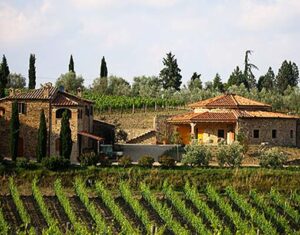 Pian dell'Orino Montalcino