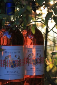 Rosato 100% Sangiovese 2015