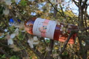 Rosé igt Tuscany 2015