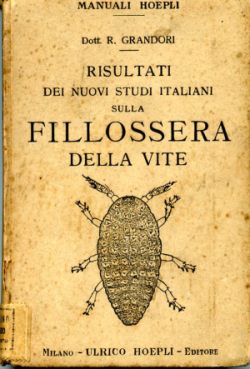 Fillossera della vite
