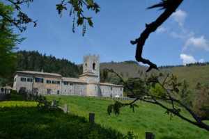 Badia-Coltibuono- cantina-ricettività-ristorazione-scuola-di-cucina-negozio