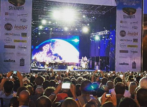 Collisioni-Elton-John-visto-da-Violante-Gardini