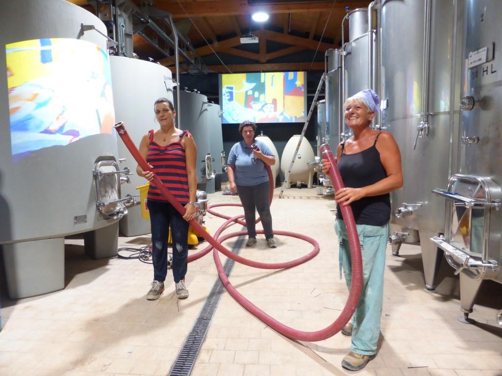 vendemmia-2016-Montalcino-Casato-Prime-Donne