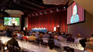 Wine-Experience-2016-Donatella-Cinelli-Colombini-seminary