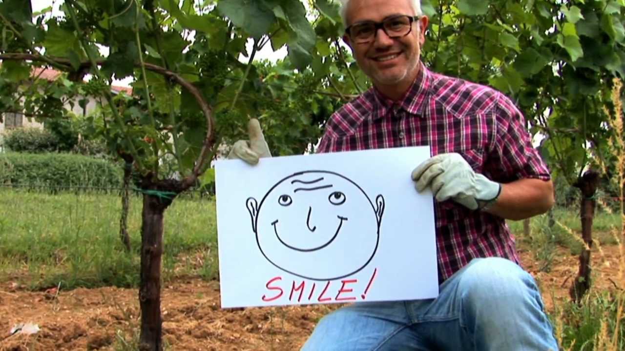 Marco-Simonit