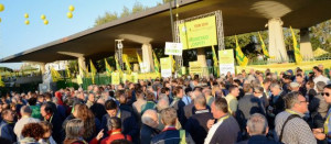 coldiretti-olio-620x270-300x131