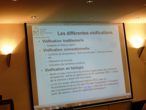 AIV-Académie-Internationale-du-vin-Losanna-simposio-d'autunno-2016