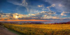 Michigan-Old Mission Peninsula