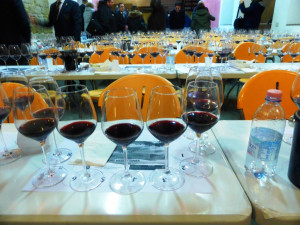 Orcia-Doc-500-calici-all'AIS-diArezzo