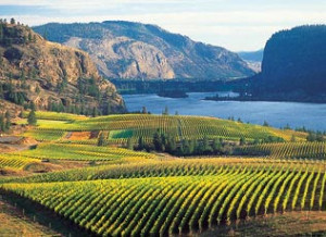 Emerging-wine-regions-Okanagan