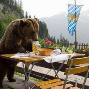 Beer-bear