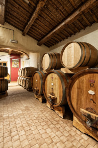 Casato-prime-donne-Montalcino-barrels-and-tonneaux