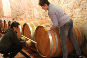 New-barrels-being-put-in-place-Montalcino-Casato-Prime-Donne