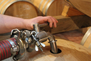 Filling-new-barrels-Casato-Prime-Donne-Montalcino