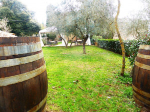 Barrels-as-garden-furniture