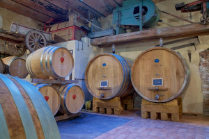 winery-Toscana-Fattoria-de-Colle-photo-by- Leslie Brienza