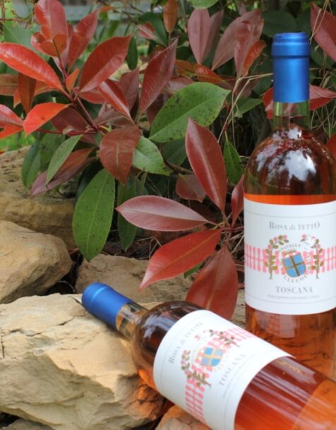 Rosa di Tetto 2013 - IGT Toscana Rosé - Fattoria del Colle - Donatella Cinelli Colombini