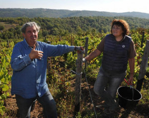 Organic vineyard Claude and Lydia Bourguingnon
