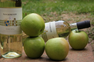 vino-bianco-Sanchimento-IGT-Toscana-Donatella-Cinellicolombini