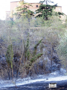 Incendi-domenica 16 luglio a Montisi Montalcino