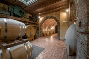 Cantina-Fattoria-del-Colle-300x200