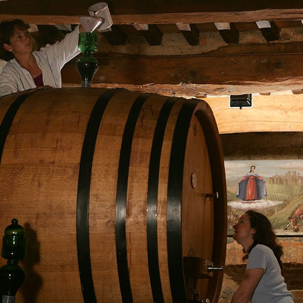 cantina-unica cantina-unica