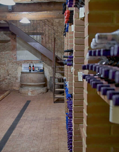 gallery-fattorialdelcolle02
