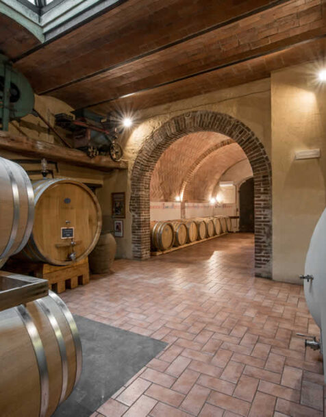 gallery-fattorialdelcolle04