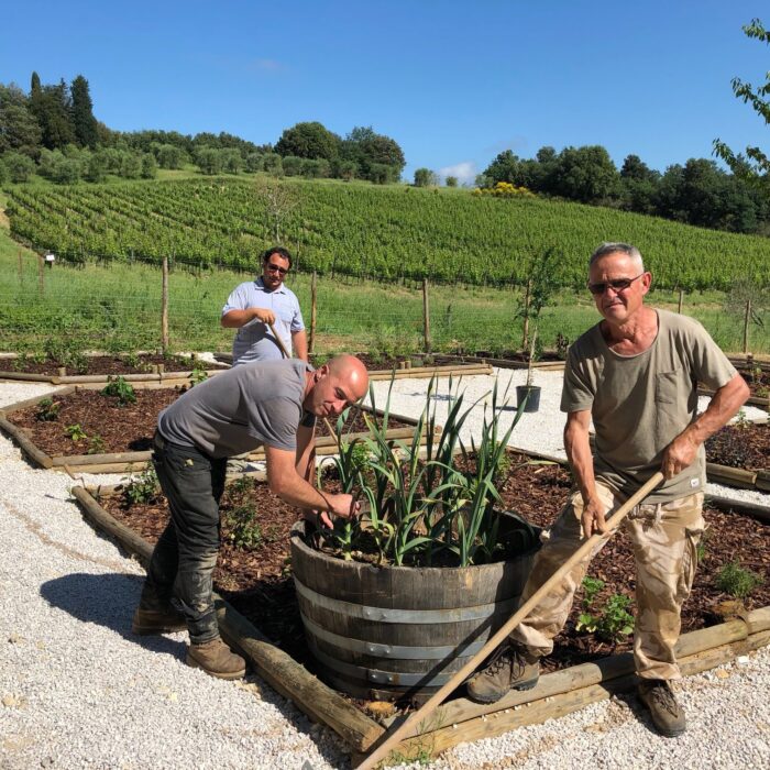 Fattoria del Colle Trequanda Orto