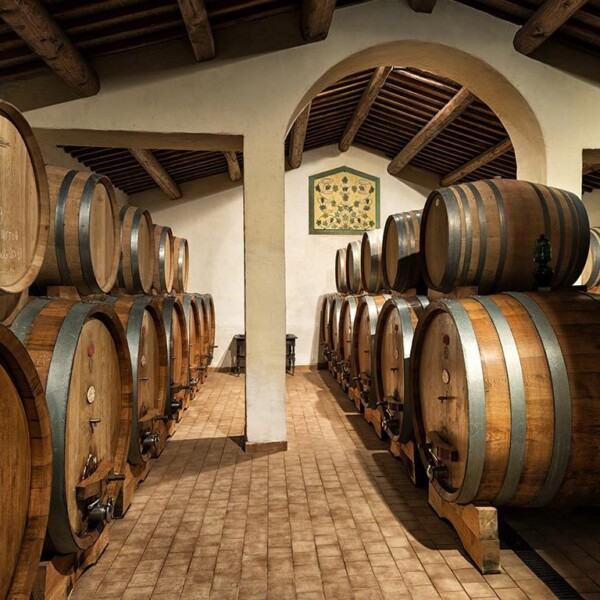 degustazione vino - wine tasting
