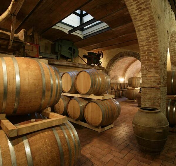 giorno-in-fattoria2