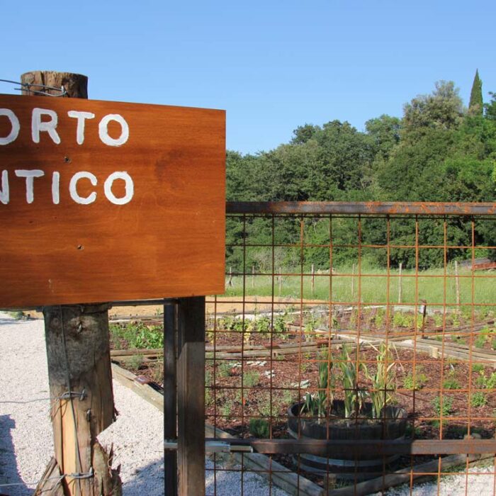 orto3