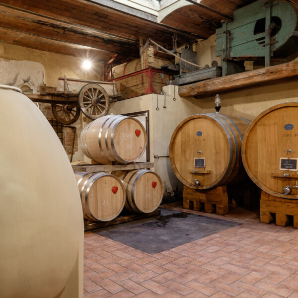 Fattoria-del-Colle-cantina-Leone-Rosso-Doc-Orcia