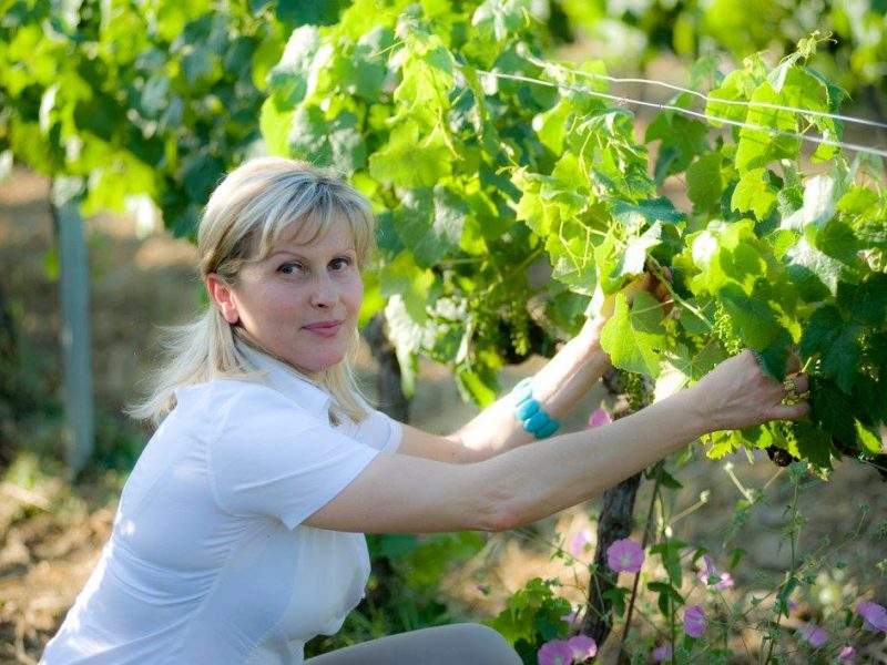 Graziana Grassini Sassicaia