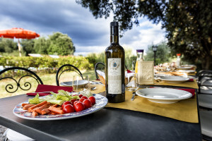 Villa-for-parties-lunch-by-the-pool-Toscana-Villa-Archi