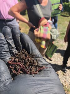 biologico-compost-Gaja Ca Marcanda