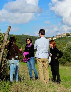 tuscany-wine-weekend-esperienza-nella-viigna