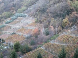 Valtellina, viticultura eroica