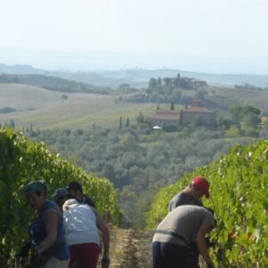 appuntamenti per wine lovers