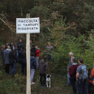 Fattoria del Colle, truffle hunting (1)