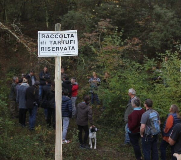 Fattoria del Colle, truffle hunting (1)