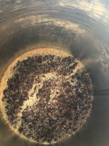 Sanforte appena arrivato in cantina 2019