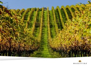 Conegliano-Valdobbiadene