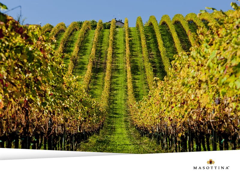 Conegliano-Valdobbiadene