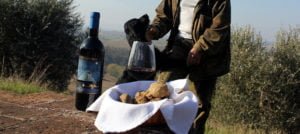 tartufo-bianco-weekend-toscana