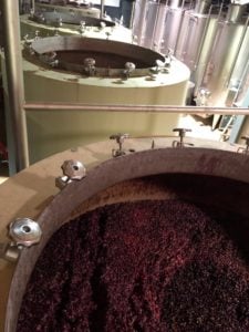 Vendemmia-2019-tini-da-fermentazione-di-cemento