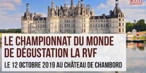 Campionato-del-mondo-a-squadre-sommelier-2019-sommelier-italiani-ultimi
