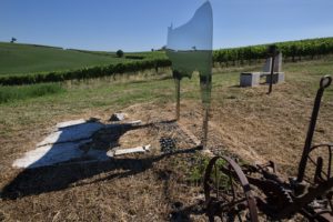 Brunello-vigneto-ardita-Casato-Prime-Donne
